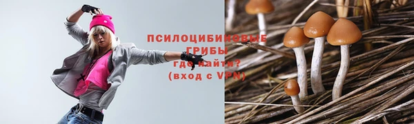 скорость Вяземский