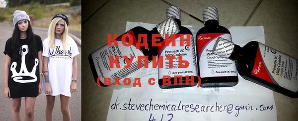 скорость Вяземский