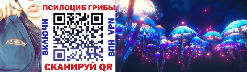 Галлюциногенные грибы Psilocybe Шали